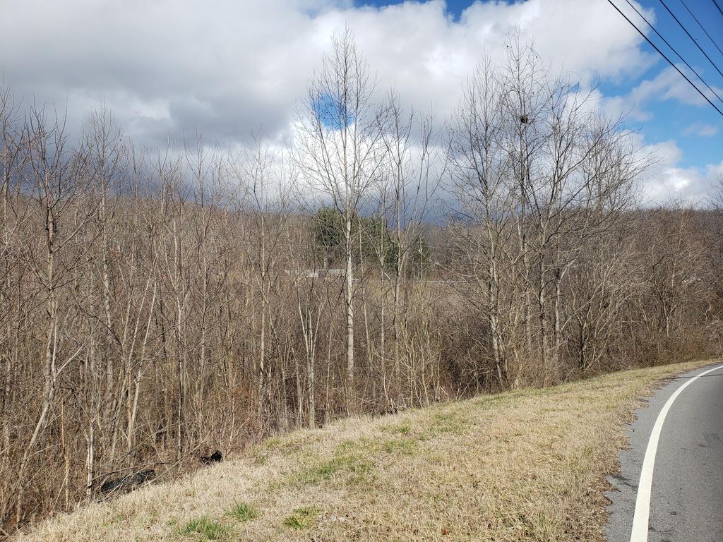 Photo of Tbd Meadow View Road, Bristol, TN 37620 (MLS # 9988237)