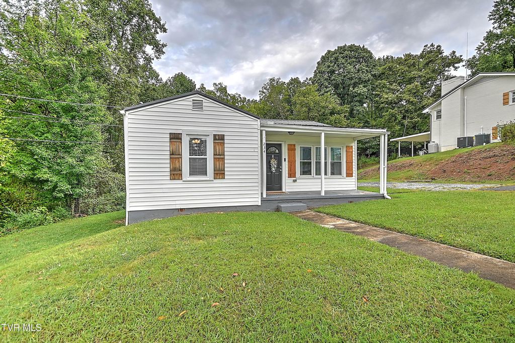 Photo of 234 Gale Avenue, Kingsport, TN 37660 (MLS # 9985500)