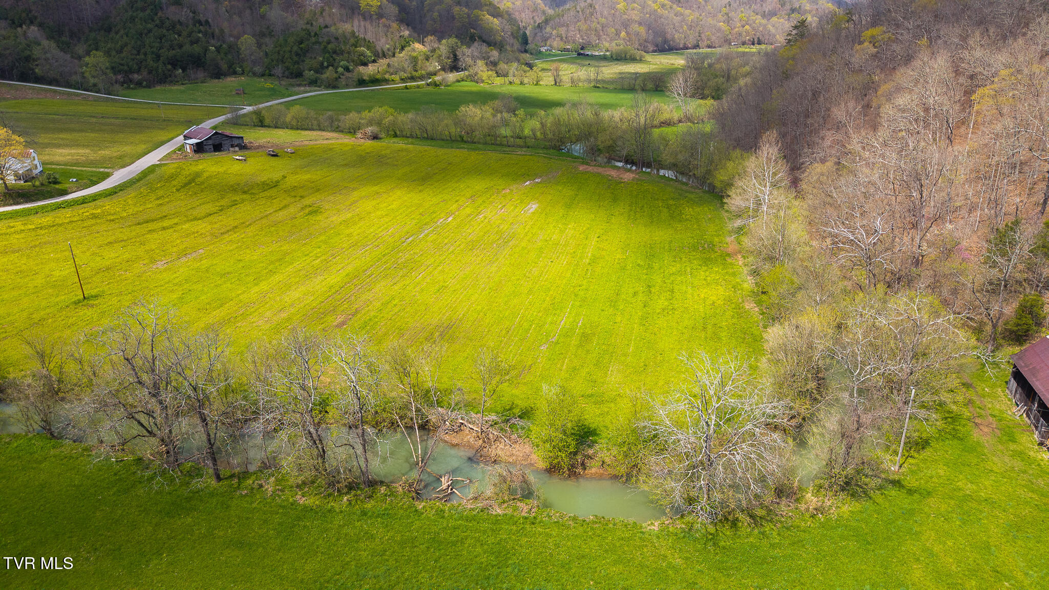 1025 Livesay Chapel Road, Kyles Ford, Tennessee image 9