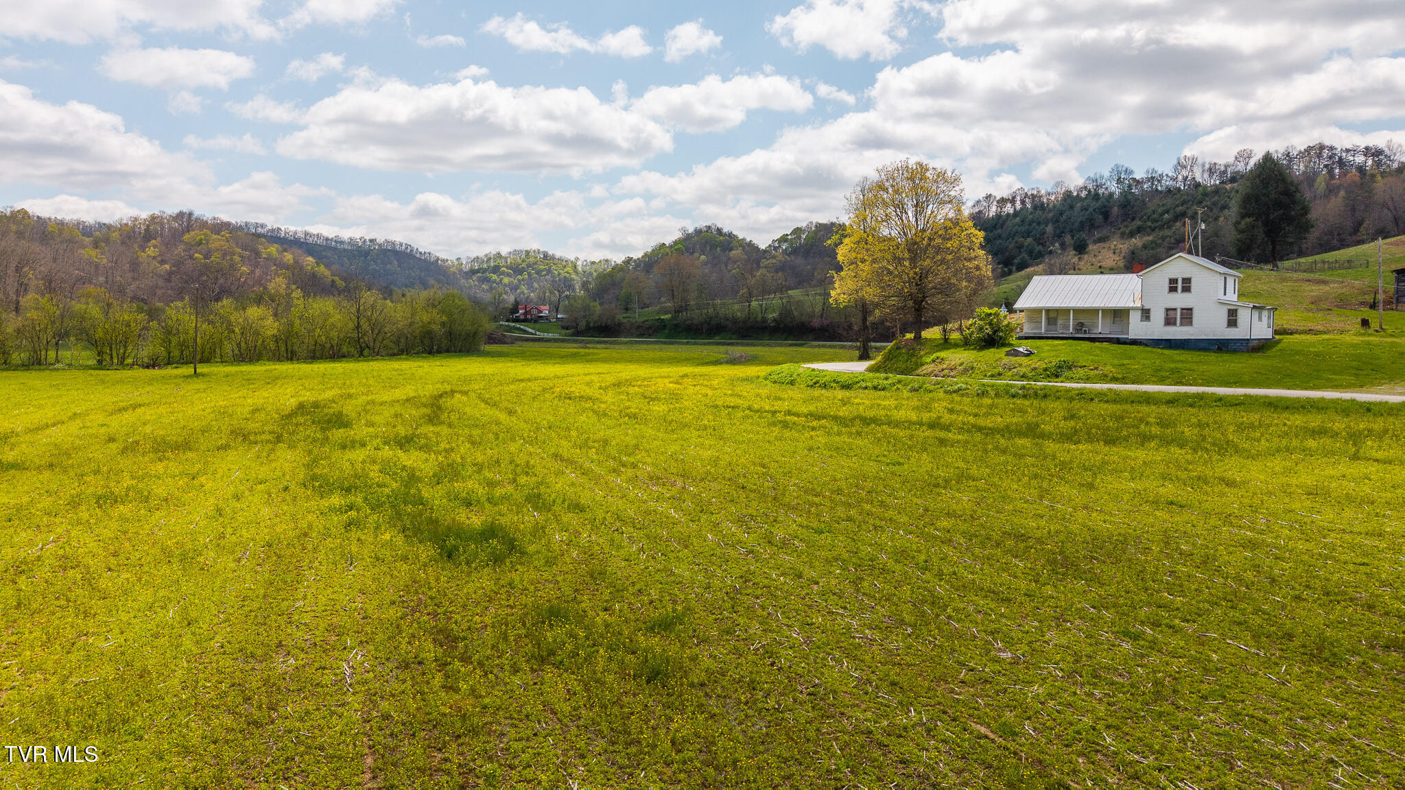 1025 Livesay Chapel Road, Kyles Ford, Tennessee image 11