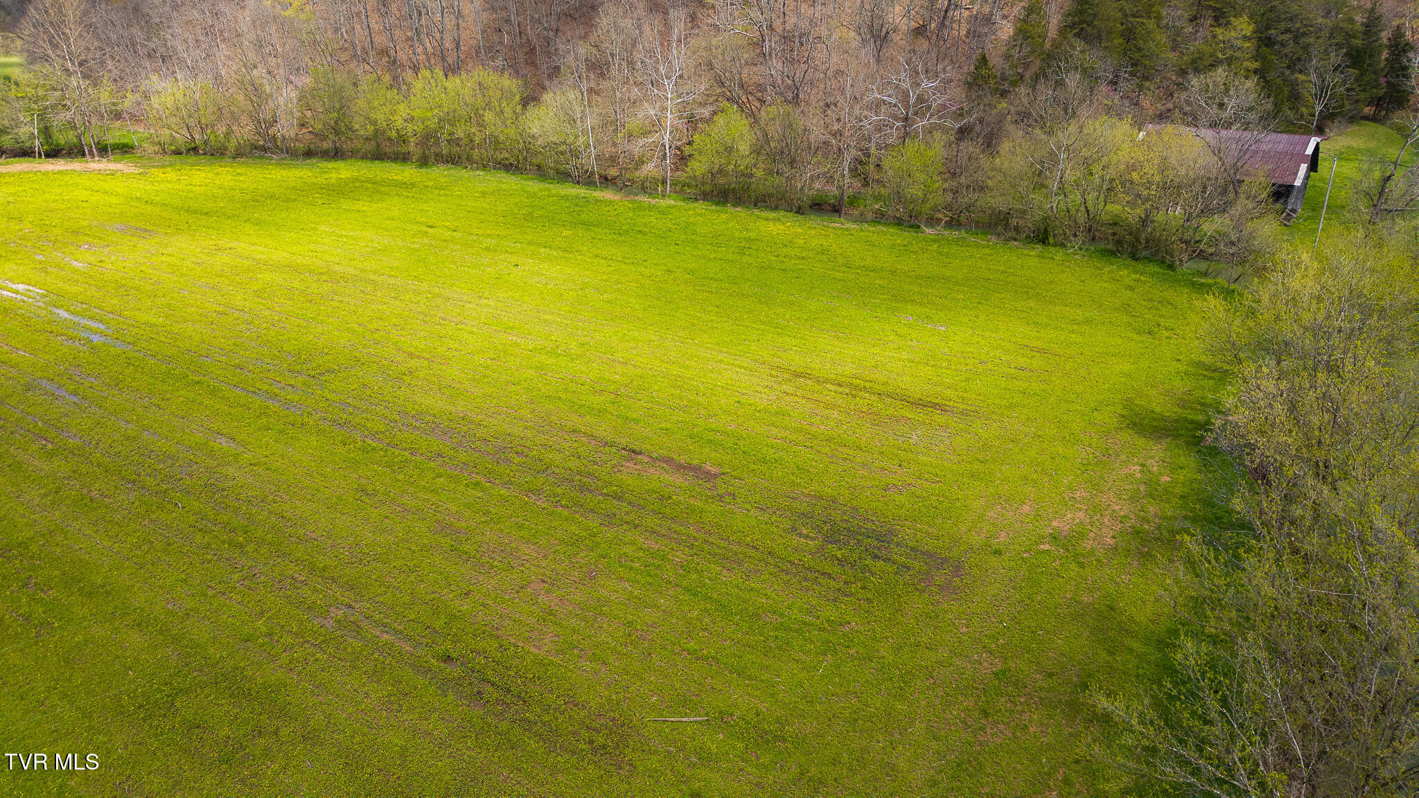 1025 Livesay Chapel Road, Kyles Ford, Tennessee image 8