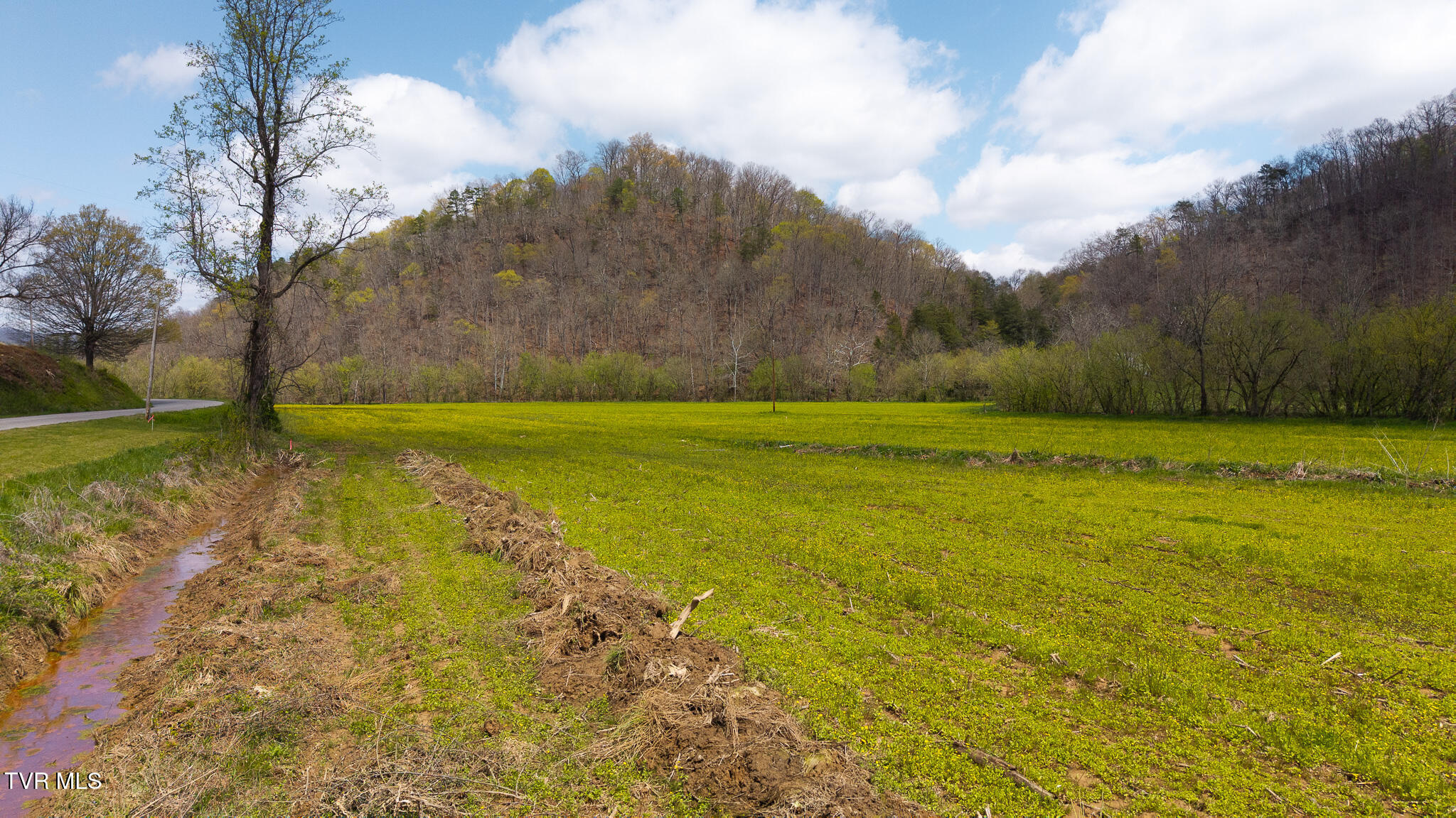 1025 Livesay Chapel Road, Kyles Ford, Tennessee image 2