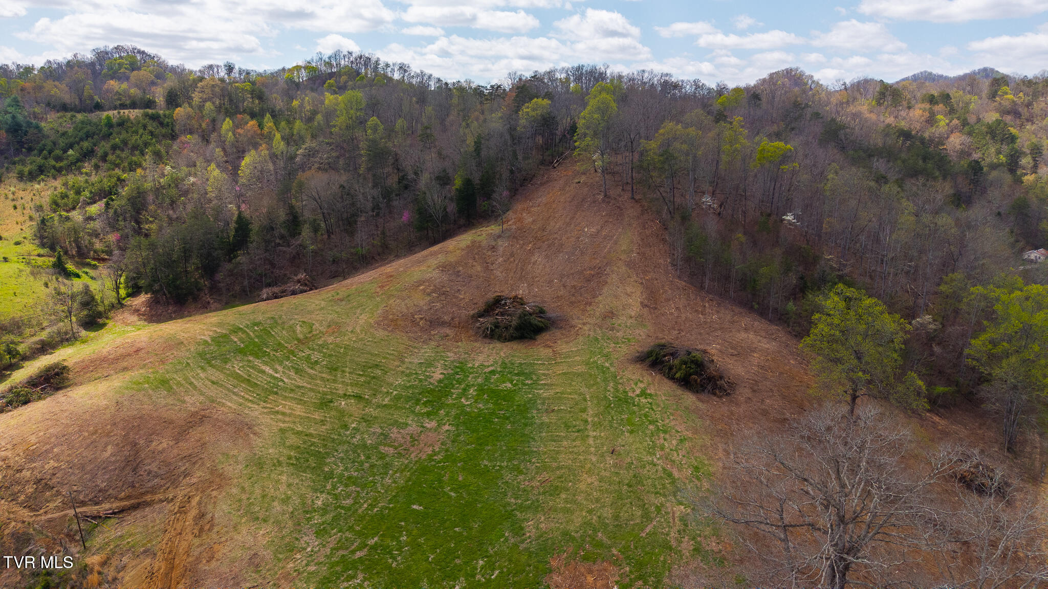 1025 Livesay Chapel Road, Kyles Ford, Tennessee image 19