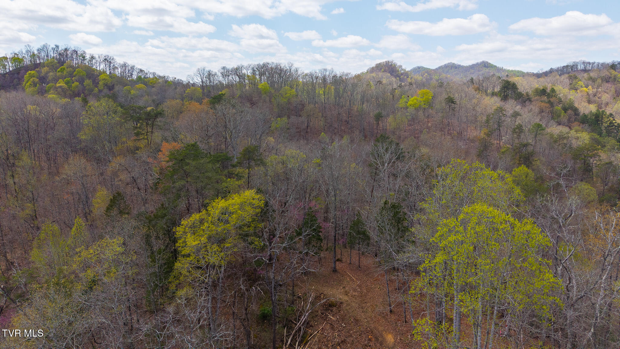 1025 Livesay Chapel Road, Kyles Ford, Tennessee image 20