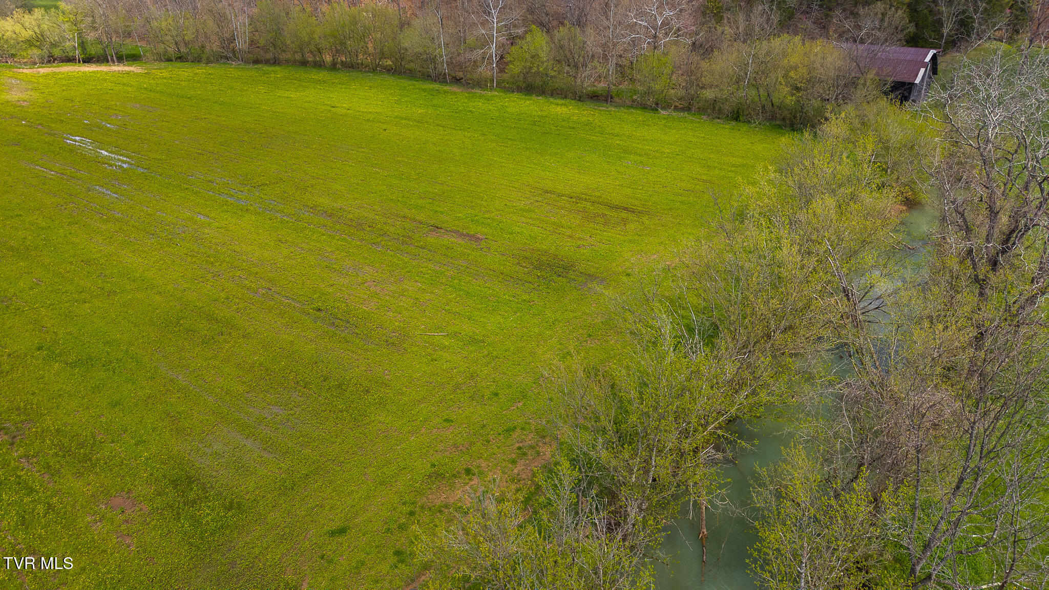 1025 Livesay Chapel Road, Kyles Ford, Tennessee image 7