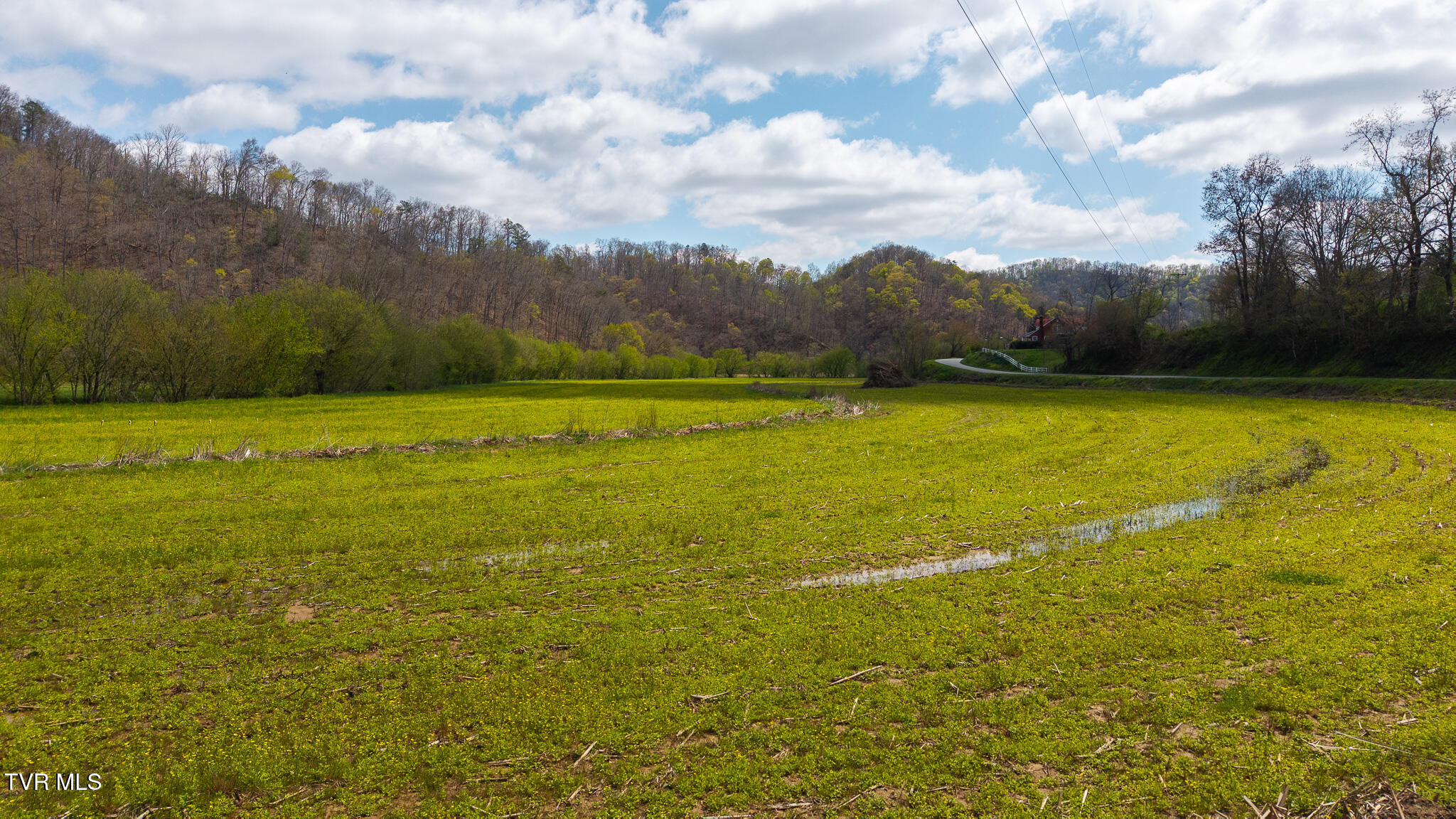 1025 Livesay Chapel Road, Kyles Ford, Tennessee image 3