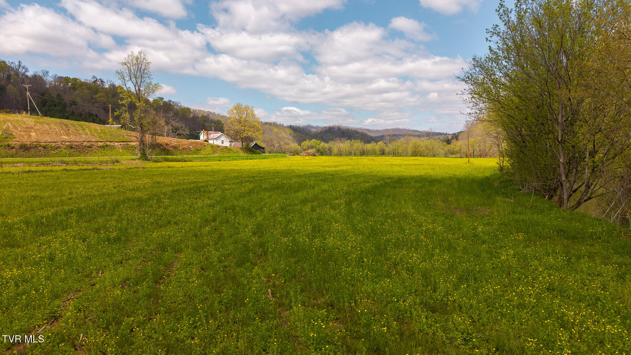 1025 Livesay Chapel Road, Kyles Ford, Tennessee image 4