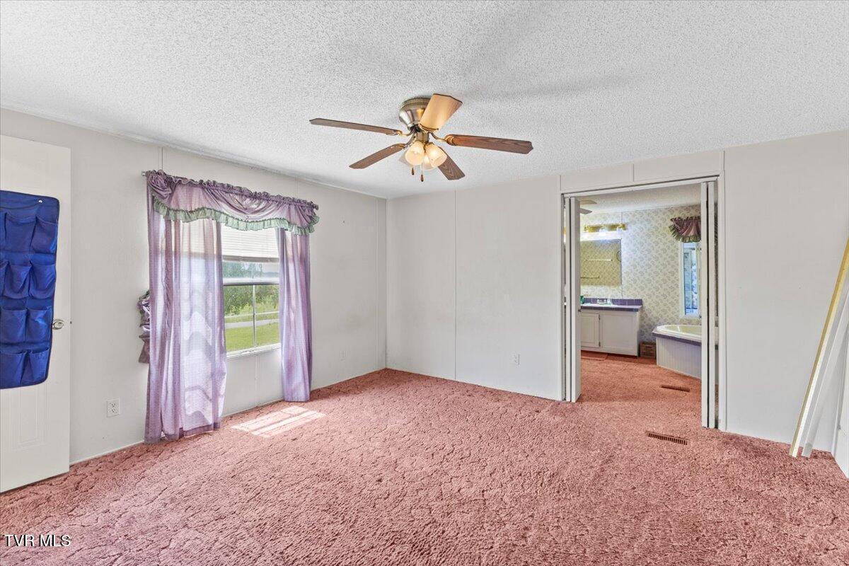 9135 Old Stage Road, Limestone, Tennessee image 18