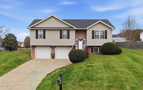 Photo of 14 Teague Court, Jonesborough, TN 37659 (MLS # 9993295)