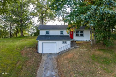 317 Rosemary Lane Piney Flats TN 37686