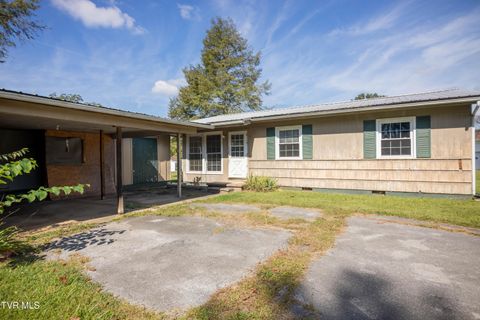 Photo of 11 Crest Drive, Greeneville, TN 37745 (MLS # 9986670)