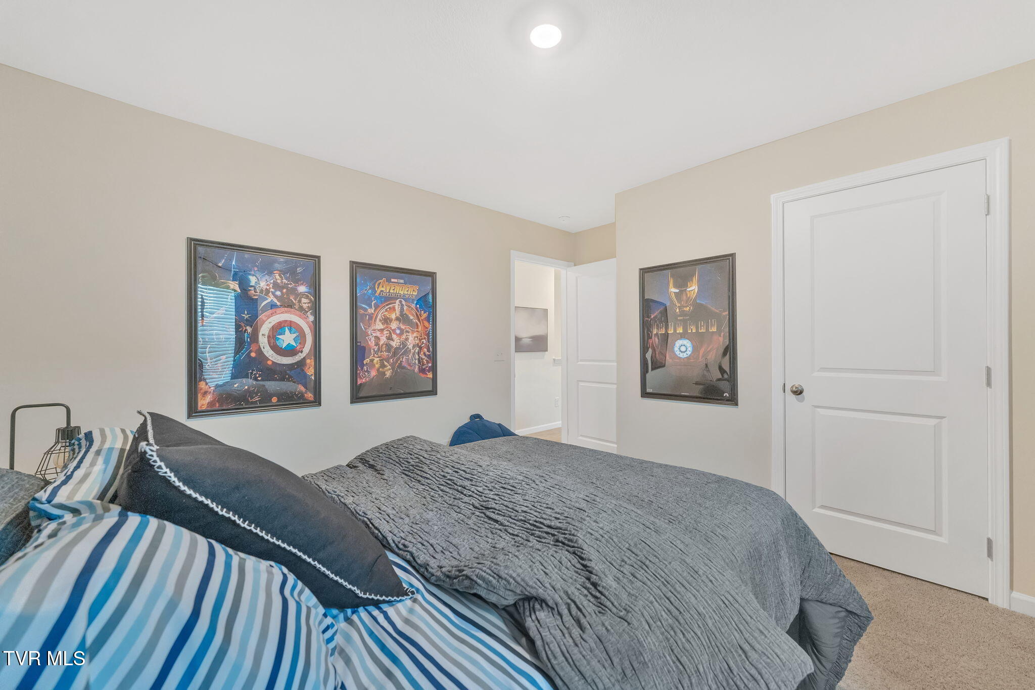 1040 Tara Court, Blountville, Tennessee image 30