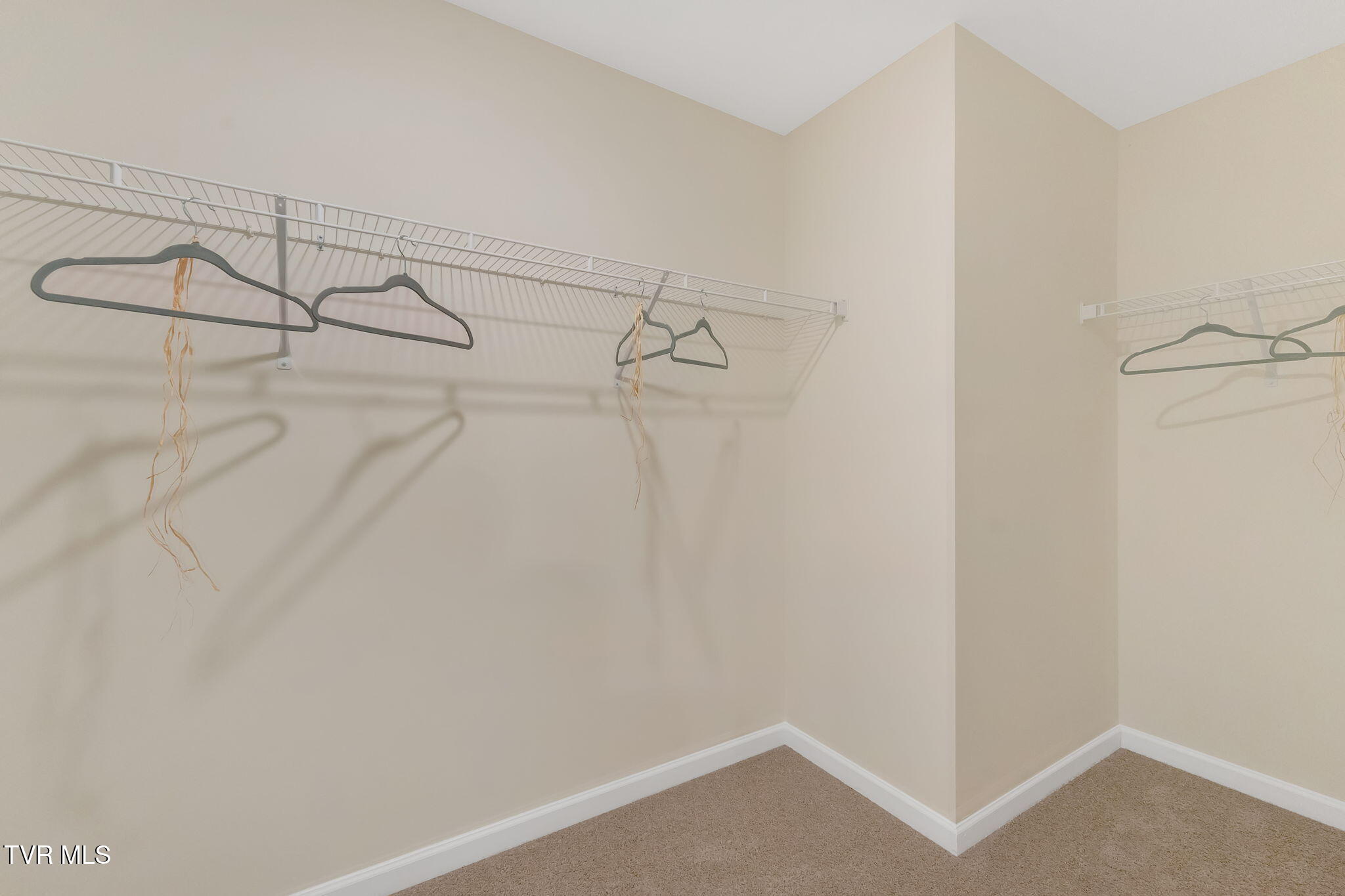 1040 Tara Court, Blountville, Tennessee image 23