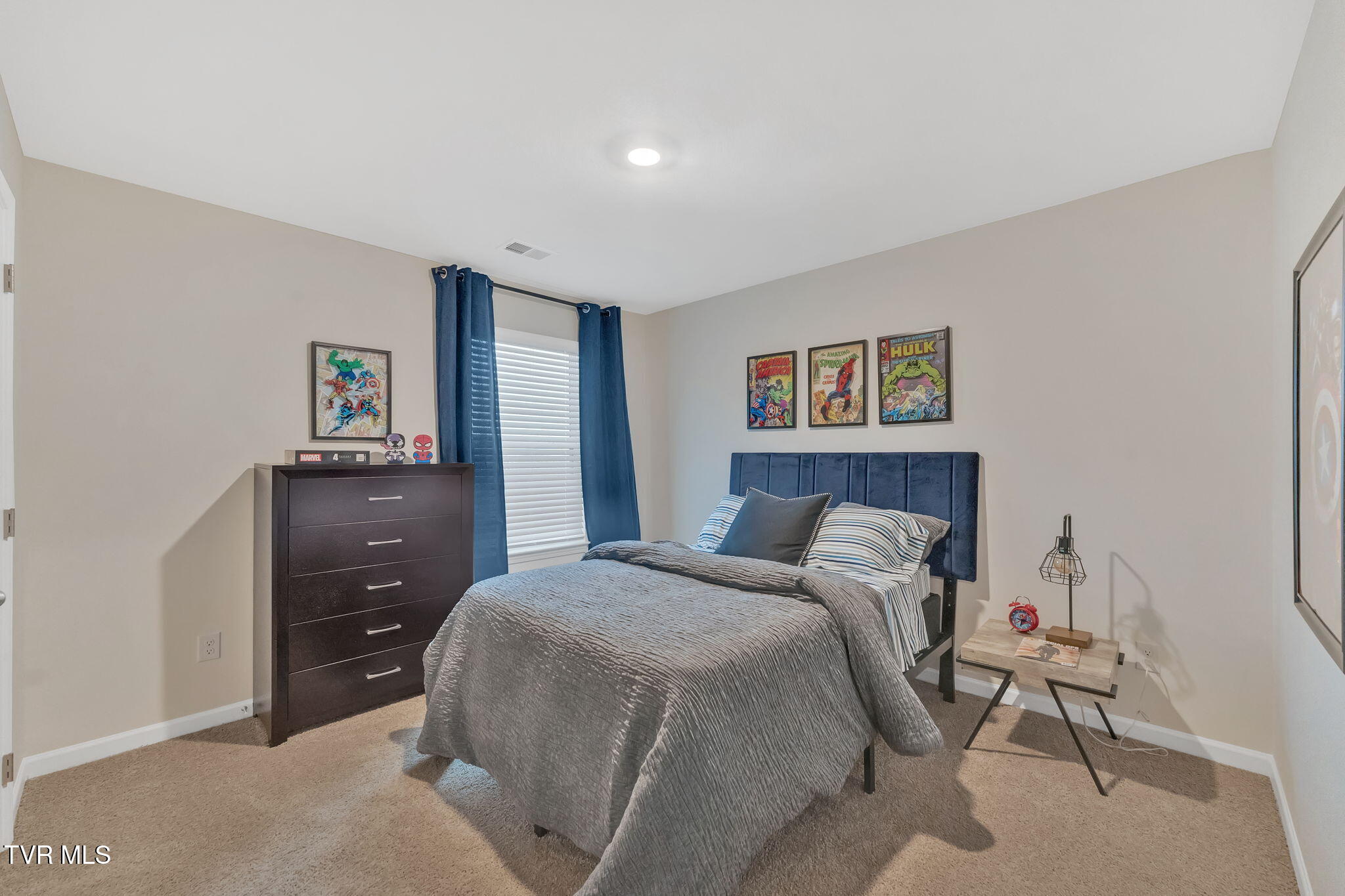 1040 Tara Court, Blountville, Tennessee image 29