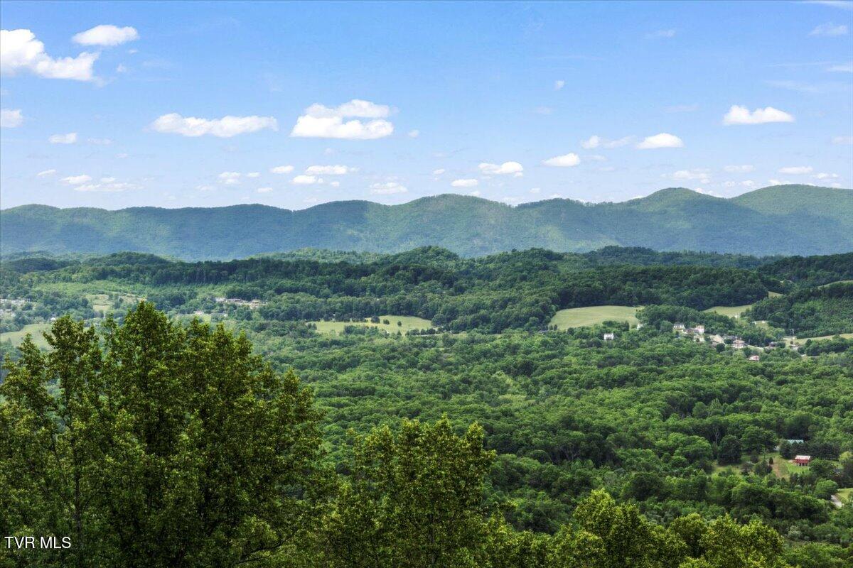 4892 Eagle Pointe Drive, Kingsport, Tennessee image 8