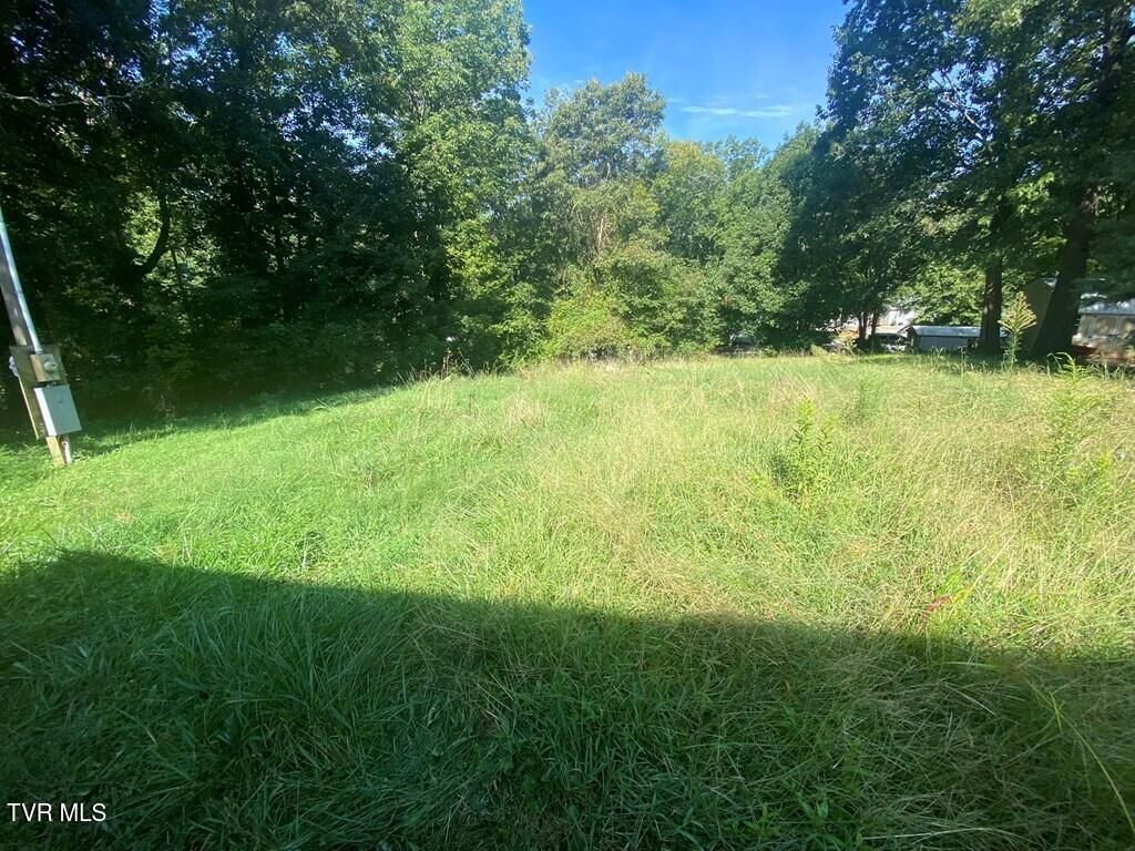 Photo of 473 Rockingham Road, Johnson City, TN 37615 (MLS # 9985898)