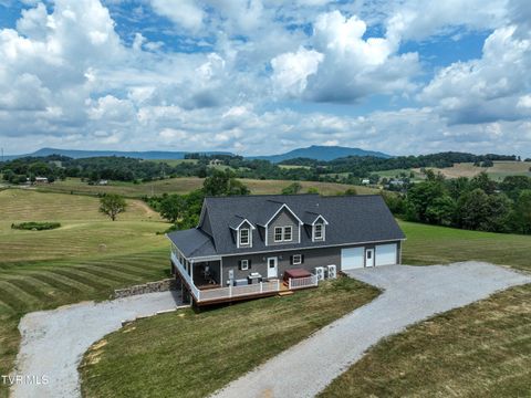 Tiny photo for 35 Short Road, Limestone, TN 37681 (MLS # 9982939)