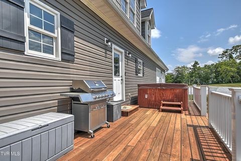Tiny photo for 35 Short Road, Limestone, TN 37681 (MLS # 9982939)