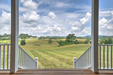 Tiny photo for 35 Short Road, Limestone, TN 37681 (MLS # 9982939)