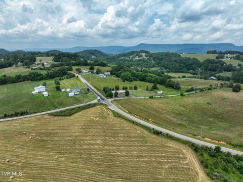 Tiny photo for 35 Short Road, Limestone, TN 37681 (MLS # 9982939)