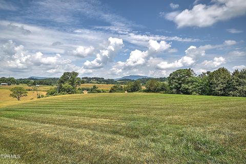 Tiny photo for 35 Short Road, Limestone, TN 37681 (MLS # 9982939)