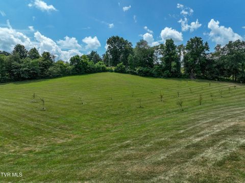 Tiny photo for 35 Short Road, Limestone, TN 37681 (MLS # 9982939)