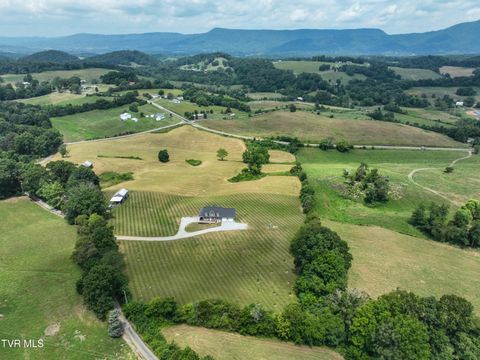 Tiny photo for 35 Short Road, Limestone, TN 37681 (MLS # 9982939)