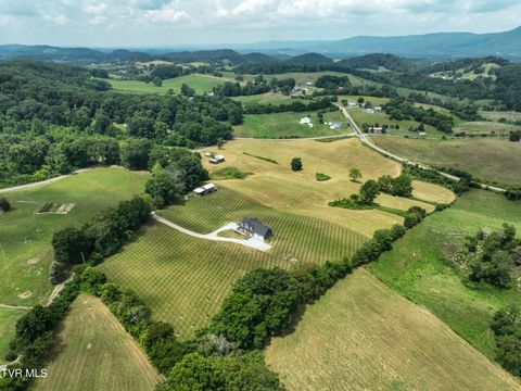 Tiny photo for 35 Short Road, Limestone, TN 37681 (MLS # 9982939)