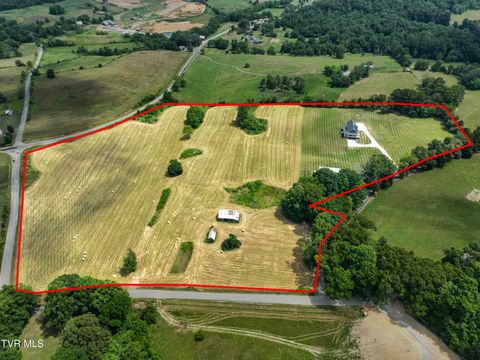 Tiny photo for 35 Short Road, Limestone, TN 37681 (MLS # 9982939)