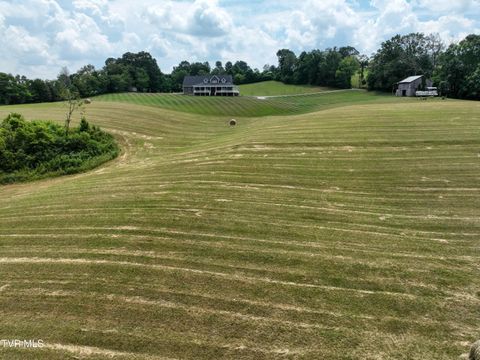 Tiny photo for 35 Short Road, Limestone, TN 37681 (MLS # 9982939)