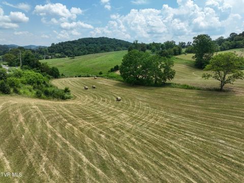 Tiny photo for 35 Short Road, Limestone, TN 37681 (MLS # 9982939)