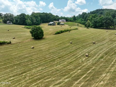 Tiny photo for 35 Short Road, Limestone, TN 37681 (MLS # 9982939)