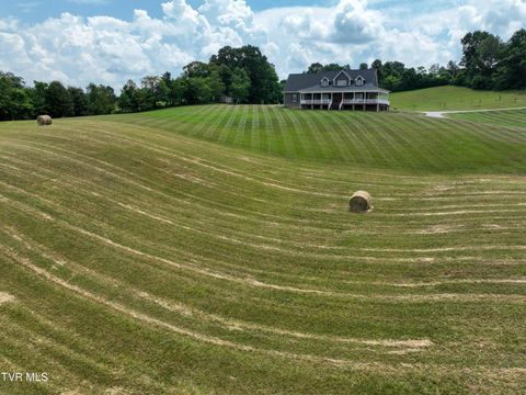 Tiny photo for 35 Short Road, Limestone, TN 37681 (MLS # 9982939)