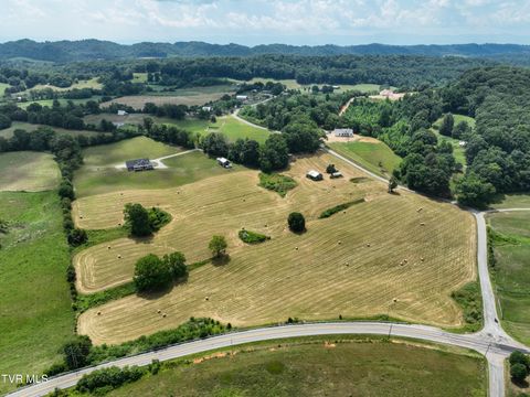Tiny photo for 35 Short Road, Limestone, TN 37681 (MLS # 9982939)