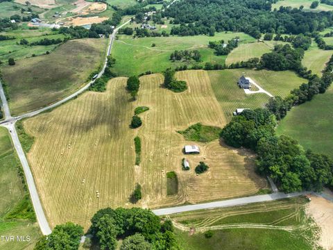 Tiny photo for 35 Short Road, Limestone, TN 37681 (MLS # 9982939)