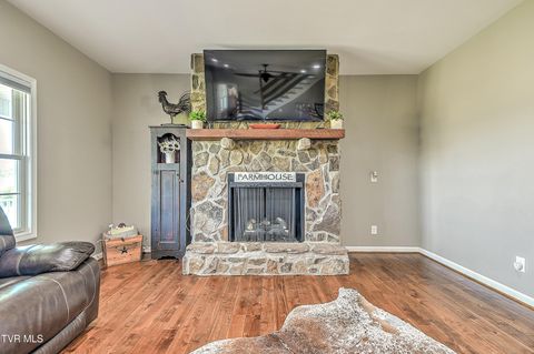 Tiny photo for 35 Short Road, Limestone, TN 37681 (MLS # 9982939)