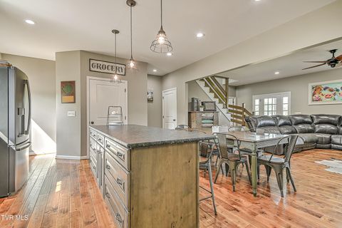 Tiny photo for 35 Short Road, Limestone, TN 37681 (MLS # 9982939)