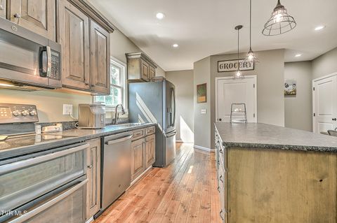 Tiny photo for 35 Short Road, Limestone, TN 37681 (MLS # 9982939)