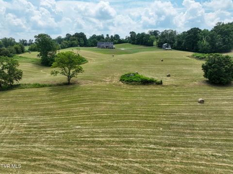 Tiny photo for 35 Short Road, Limestone, TN 37681 (MLS # 9982939)
