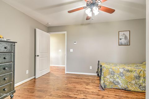Tiny photo for 35 Short Road, Limestone, TN 37681 (MLS # 9982939)