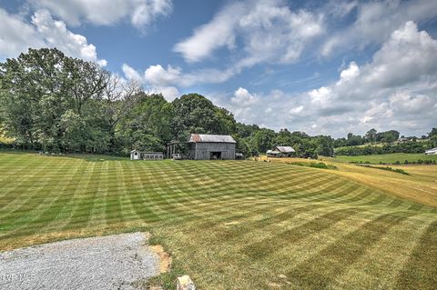 Tiny photo for 35 Short Road, Limestone, TN 37681 (MLS # 9982939)