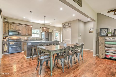 Tiny photo for 35 Short Road, Limestone, TN 37681 (MLS # 9982939)
