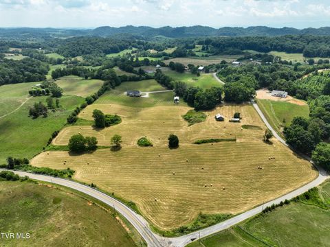 Tiny photo for 35 Short Road, Limestone, TN 37681 (MLS # 9982939)