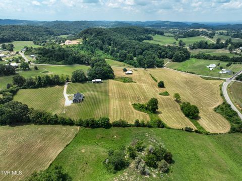Tiny photo for 35 Short Road, Limestone, TN 37681 (MLS # 9982939)