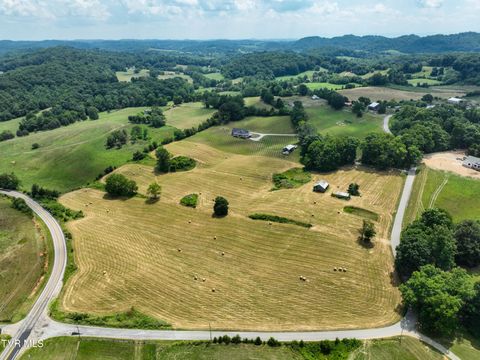 Tiny photo for 35 Short Road, Limestone, TN 37681 (MLS # 9982939)