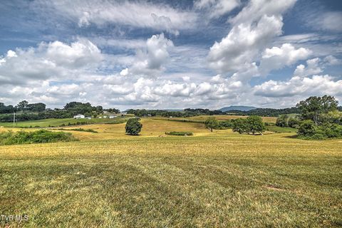 Tiny photo for 35 Short Road, Limestone, TN 37681 (MLS # 9982939)