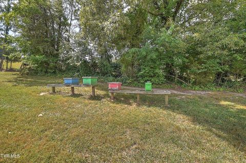 Tiny photo for 35 Short Road, Limestone, TN 37681 (MLS # 9982939)