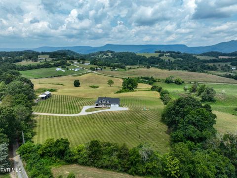 Tiny photo for 35 Short Road, Limestone, TN 37681 (MLS # 9982939)
