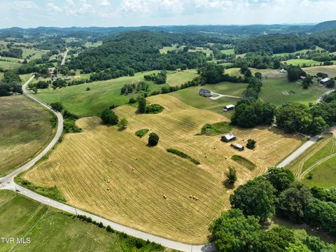 Tiny photo for 35 Short Road, Limestone, TN 37681 (MLS # 9982939)
