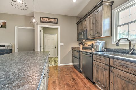 Tiny photo for 35 Short Road, Limestone, TN 37681 (MLS # 9982939)